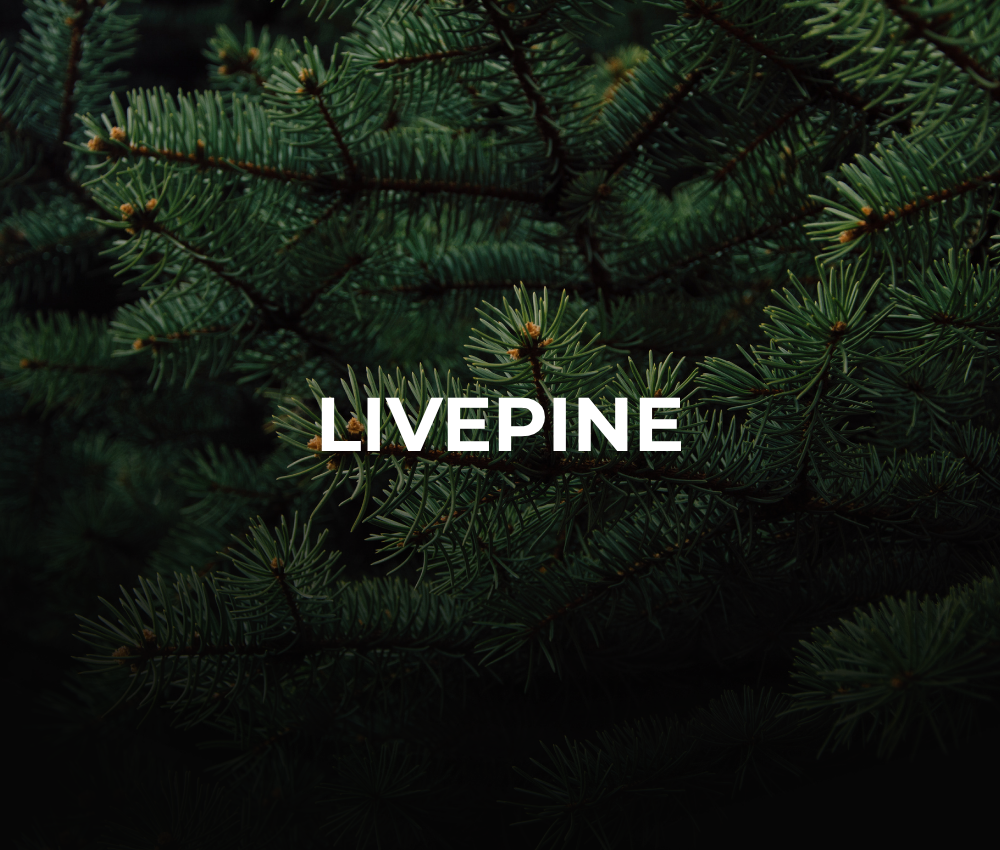 Livepine