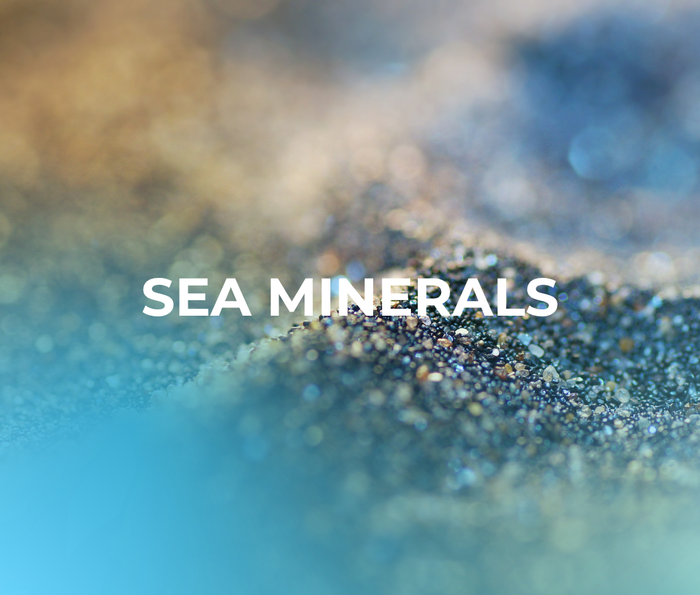 Sea Minerals