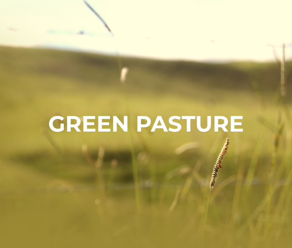 Green Pasture