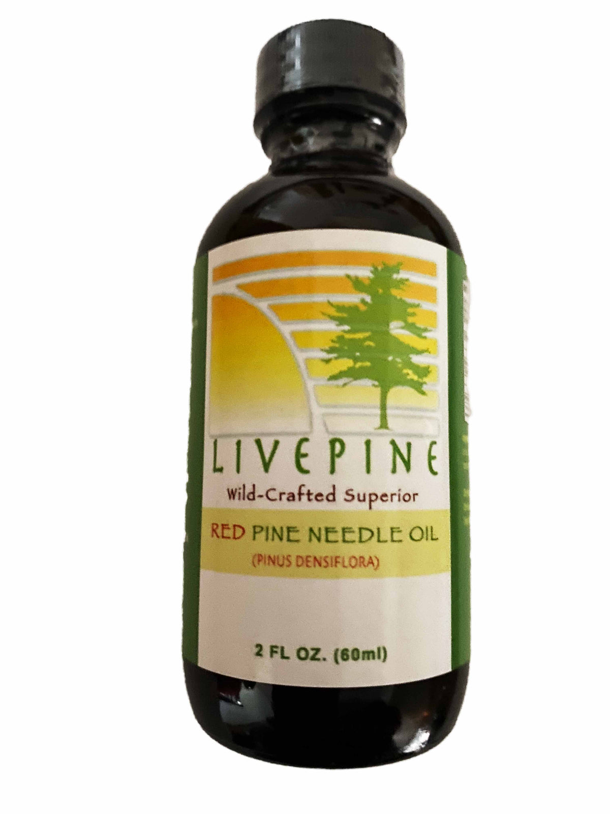Live Pine Red Pine Needle Oil - WILD CRAFTED PINUS DENSIFLORA (2oz)