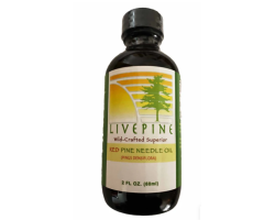 Live Pine Red Pine Needle Oil – WILD CRAFTED PINUS DENSIFLORA (2oz) (5Bottles)