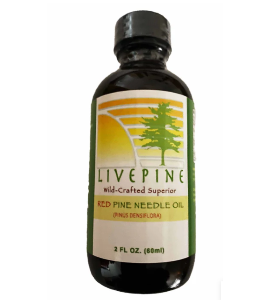 Live Pine Red Pine Needle Oil – WILD CRAFTED PINUS DENSIFLORA (2oz) (5Bottles)